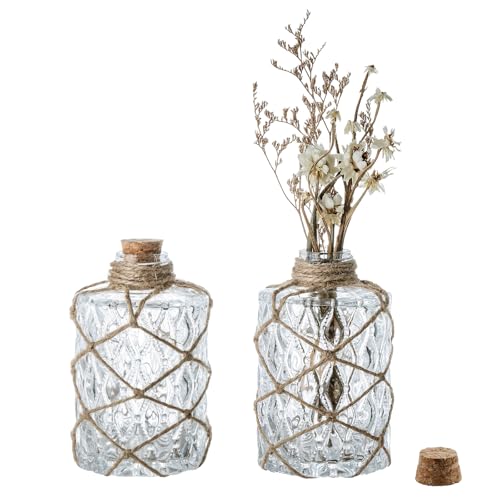 MyGift Set of 2 Rustic Embossed Glass Bud Vases with Cork Lids and Hand-Woven Hemp Rope – Apothecary Style Decorative Bottles for Farmhouse, Vintage, or Boho Home Decor - color: Clear / Rope (Set of 2)