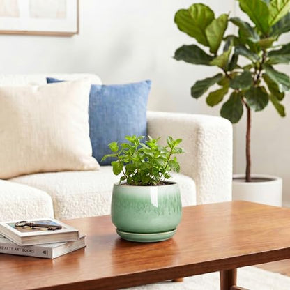 Ceramic Plant Pots - 4 Inch Pots for Plants with Drainage Hole and Saucer, Small Succulent Pot for Indoor Plants, Round Ceramic Planter, Home Office Decor, House Warming Gifts, Green - size: 4 Inch, style: Green