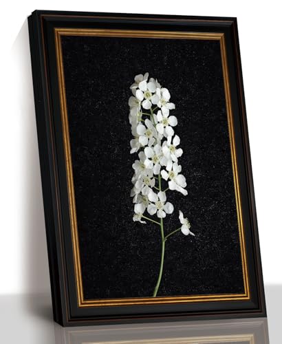 White Flower Branch Wall Art, Dark Botanical Vintage Gold Frame, 12x16in | Vintage white floral art adds botanical charm to living rooms, bedrooms, entryways, or offices. - color: white flower branch, size: 16"L x 12"W