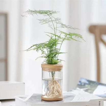 Propagation Station - Desktop Hydroponic Vases for Water Plants, Glass Plant Jars, Gardening Gift for Women, Mom & Plant Lovers, Set for Rooting & Display