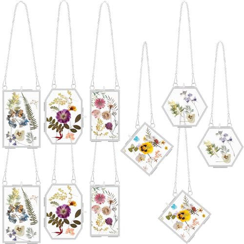 BBTO 10 Pcs Glass Frame for Pressed Flowers 5 Different Shapes Brass Hanging Picture Frame with Chain Pressed Flower Glass Photo Frames for Artwork Frame Home Wall Decor Plant Specimen (Silver) - color: Silver