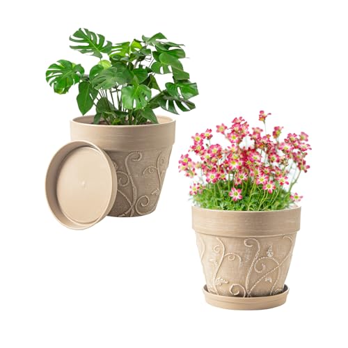 Indoor Plant Pots and Succulent Tools