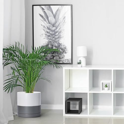 D'vine Dev 10 Inch Ceramic Planter Pot, White/Grey, 94-O-E-6 | Modern Cylinder Design, Drainage Hole & Saucer Included, Stable Structure, Elegant Home Accent - color: White/Speckled Grey, size: Large