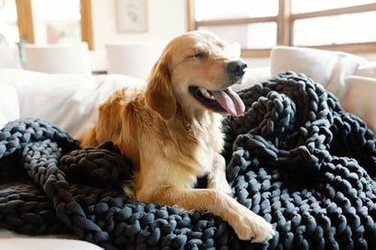 Chunky Knit Blanket - Breathable, Cooling, Hand Made Knit Throw Blanket for Sleep - Machine Washable, Stylish Decor Design (Dusty Blue, Throw | 12lbs | 44"x60") | Soft jersey-knit Dusty Blue shell, 100% recycled hypoallergenic fill. Cooling weighted blank