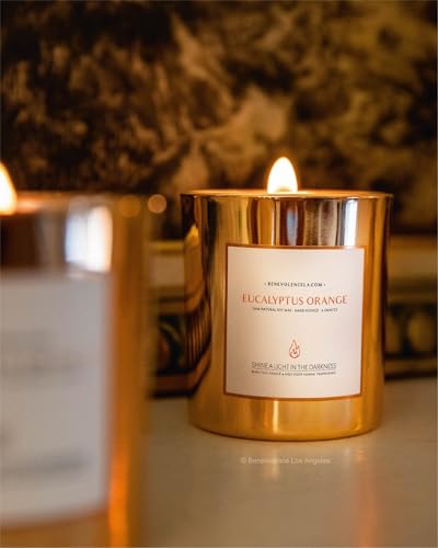 Benevolence LA Premium Eucalyptus Orange Scented Candle – Long-Lasting, 45-Hour Burn – Luxury Natural Soy Wood Wick Candle for Home – Aromatherapy & Room Decor – 8oz - size: 8 oz - 1 wick