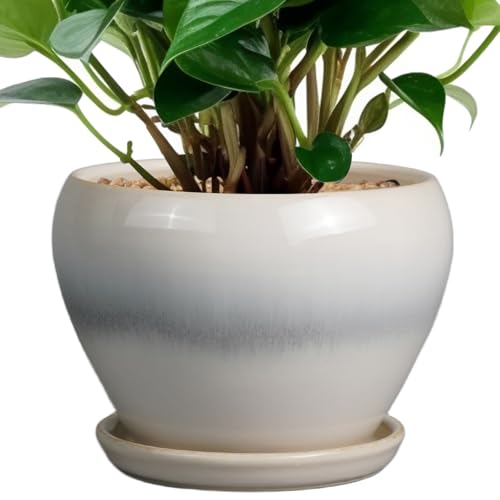 Ceramicfor Planter Pot 6 Inch - Ceramic Plant Pot with Drainage Hole and Saucer, Round Glaze Succulent Pot for Plants, White - color: Cream White, size: 6 Inch