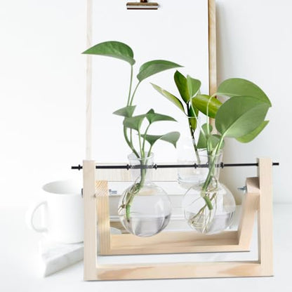 10pcs Plant Propagation Stations Rack - Tabletop Plant Terrarium Hanger Rod - Replacement Hydroponic Water Vase Stand for Home Office 30cm - size: 30.00X0.50X0.50CM