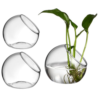 3 Pcs Glass Terrarium Air Plant Planters - Slant Cut for Home Office Decor, Succulent & Air Plant Containers, Transparent Glass Vases for DIY Gifts, Weddings, Housewarming