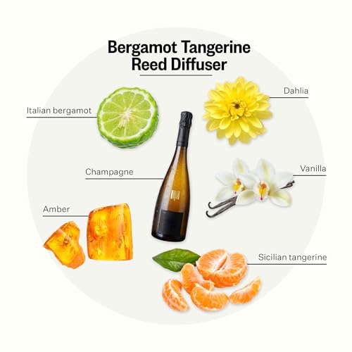 Apotheke Scented Reed Diffuser for Home, Bergamot Tangerine, 10 Reed Sticks | 10 Rattan Scent Sticks, Long-lasting Fragrance with Essential Oil Aromatherapy for Bedroom & Bathroom - 6.7 Fl Oz
