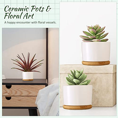 Cindeer 12 Sets Succulent Plant Pot Ceramic Succulent Pots Container Cactus Pots with Bamboo Tray Small Cylinder Flower Plant Pot with Bamboo Saucers for Plants Indoor Outdoor(White,3 x 2.17 Inch) - color: White
