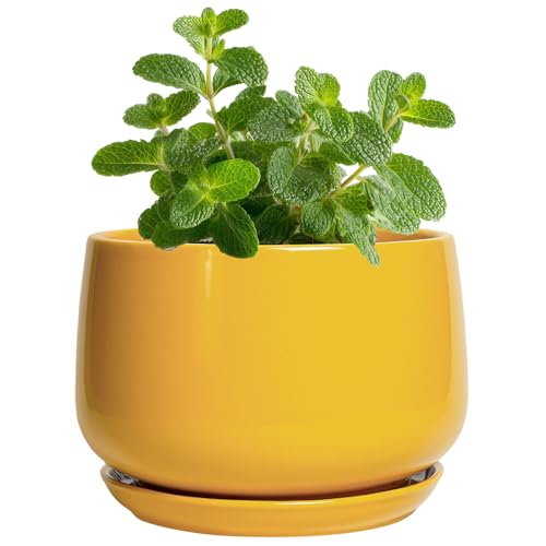 G EPGardening 4 Inch Ceramic Planter - Succulent Pots for Plants Indoor Outdoor, Small Plant Pots with Drainage Hole & Saucer, Round Planter, Modern Flower Pot, Home Decor, Plant Lover Gift, Yellow - color: Yellow, size: 4 Inch