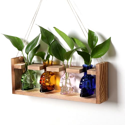 Plant Propagation Stations Halloween Skull Plant Terrarium Kit | Glass Vases Gift for Father Air Planter Home Office Decor - color: Color02