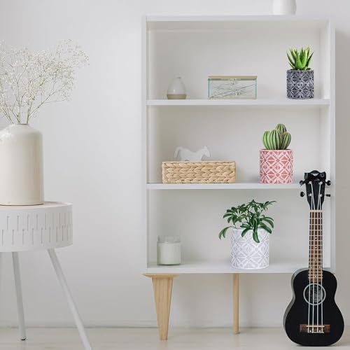 lokeisna Plant Pots, Set of Indoor Plant pots, Plastic Planter with Drainage and Saucer, Modern Distinctive Self Watering Plant Pot, Spray Spots (Indoor Plant Pots) - color: Indoor Plant Pots