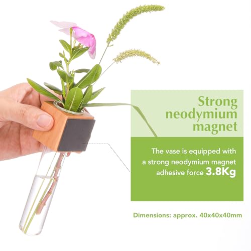 Wooden Wall Planter Glass Plant Propagation Stations Fridge Glass Tube Single Stem Bud Vase 2Pcs/Set Modern Decorative Cube Wood Window Flower Vase Refrigerator Magnetic Mini Glass Vase with Dropper