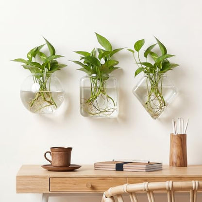 LemonRoad 6 Pcs Wall Hanging Glass Wall Hanging Planter Propagation Station Terrariums Clear Glass Vase Container for Hydroponic Plant Home Office Living Room Bathroom Garden Decor