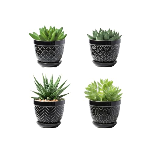 Sureasy Succulent Pots, 3.5 Inch Flower Pots for Indoor Plants, Small Plant Pots with Saucer & Drainage, Decorative Ceramic Planters for Succulent, Cactus, Set of 4, Black - color: Black, size: 3.5 inch