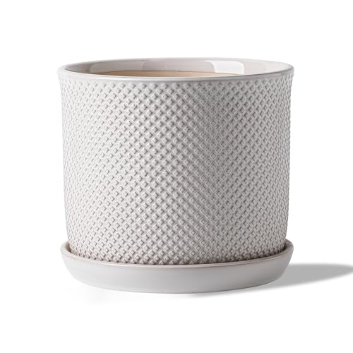 8 Inch Plant Pot: Ceramic Planter with Drainage Hole & Saucer Indoor Outdoor Plants - Flowerpot with Bonded Tray for Home Office - Beaded Embossed Style, Cream White | Indoor/Outdoor Plant Pot with Tray - Flowerpot for Home/Office - Beaded Embosse, Cream