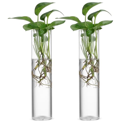 Wall Mounted Flower Tube Vase Set, 2pcs Large Cylinder Glass Hydroponic Propagation Station for Indoor Water Plants, Modern Hanging Terrarium Plants Holder Home Décor