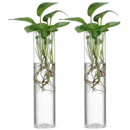 CALLARON Cylinder Glass Wall Vase Set for Hydroponic Plant Propagation, Wall-Mounted Flower Tube Vase Holder, 2pcs Hanging Indoor Terrariums for Home and Office Décor