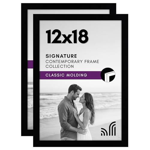 Americanflat 12x18 Poster Frame with Shatter-Resistant Glass - Set of 2 - Signature Collection - Gallery-Style Frames Made of Engineered Wood - Picture Frames for Wall Display - Black | Shatter-resistant glass, hangs vertical or horizontal, sawtooth hange
