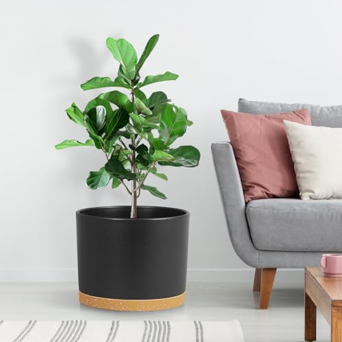 Large Plant Pots Set of 3 – 8", 9", 10" Indoor Flower Pots with Drainage Holes and Saucers, Big Planters for Monstera, Fiddle Leaf Fig, Snake Plant – 5 Colors - color: Black With Brown Base