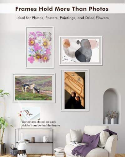 DLQuarts 20x30 Floating Picture Frame for 18x24/16x20/13x19/12x18 Photos, 2-Pack Solid Wood Double Plexiglass Wall Art Frames, Any Size Photo up to 20x30 Display, White - color: Chalk White, size: 20x30