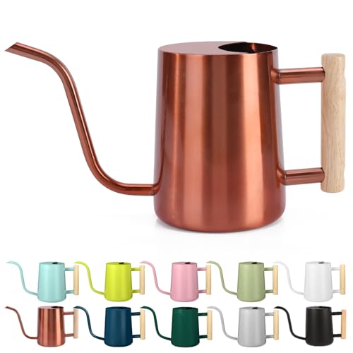 Watering Can Indoor Plants, 35oz Small Stainless Steel Metal Watering Can Modern Decorative Watering Pot with Long Spout for Indoor House Plant Bonsai Garden Flowers (Copper) - color: Copper