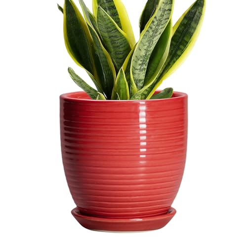 6 Inch Ceramic Plant Pot - Ceramic Pots for Plants, Round Planter with Drainage Hole and Saucer, Modern Flower Pots for Indoor Plants, Desk Home Office Decor, Plant Lover Gifts, Glossy Red - color: Glossy Red, size: 6 Inch