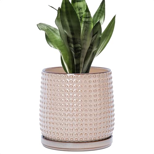 D'vine Dev Beaded Ceramic Pot with Saucer, 6 in, Light Brown, 27-C-X-4 | Embossed Dot Texture, Smooth Glazed Finish, Timeless Vintage Charm, Drainage Holes, Stylish Accent for Modern Home Décor - color: Light Brown, size: 5.8 Inch