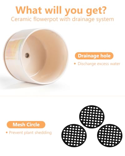 EFISPSS Plant Pots, 4+5+6 Inch Pots for Indoor Plants,Ceramic Planter Pot with Drainage Hole,Flower Pots for Succulent Cactus,Set of 3 - Rainbow Pearl Glaze - color: Rainbow Pearl Glaze