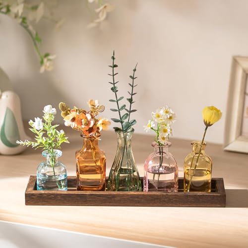 Glasseam Glass Bud Vase for Centerpiece: Small Flower Vases in Wooden Tray | Set of 5, Colored, Vintage Home Decor, Living Room, Bathroom, Office, Autumn, Rustic Table Centerpieces, Gifts for Mom, Women - color: Colorful-solid