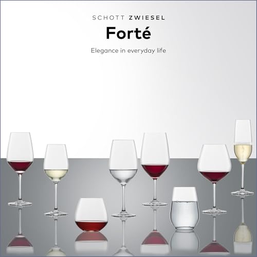 SCHOTT ZWIESEL Forté Champagne Flute (Set of 6), Champagne Glasses with Effervescence Point, Dishwasher-Safe Machine-Made Tritan Crystal Glasses, Made in Germany (8 Ounce) - color: Clear - Champagne Flute, size: 7.7 Ounces