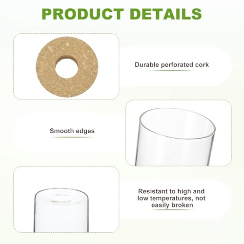 M METERXITY 1 Pack Glass Planter Terrarium with Wooden Cover, Desktop Plant Propagation Station Clear Vase for Hydroponic Plants Propagation/Home Garden Decor/Plant Lover [3.35'' x 3.94''] - size: 3.35'' x 3.94''