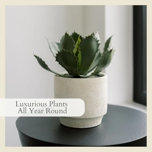 CG Hunter Round Faux Succulent Arrangement, Set-of-2 Premium Artificial Indoor Plants Enhances Interior Design, Display on Any Surface in Your Home Adding an Inviting Touch of Nature, Pots Included - size: 10" Round Set-of-2
