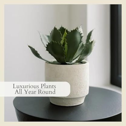CG Hunter Round Faux Succulent Arrangement, Set-of-2 Premium Artificial Indoor Plants Enhances Interior Design, Display on Any Surface in Your Home Adding an Inviting Touch of Nature, Pots Included - size: 10" Round Set-of-2