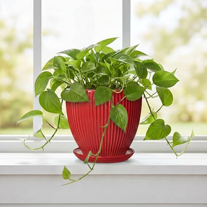 Ceramic Planter, 6 Inch Plant Pot Indoor with Drainage Hole and Saucer, Small Pots for Plants, Modern Succulent Flower Pot, Round Planter, House Garden Decor, Plant Gifts for Women Men, Red - size: 6 Inch, style: Red