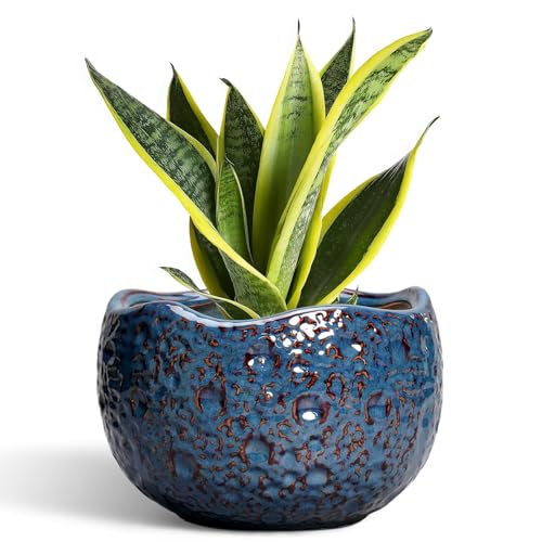 8 Inch Plant Pot - Ceramic Planter for Indoor Outdoor Plants, Round Unique Plant Pots with Drainage Hole, Modern Decorative Flower Pots, Home Decor, Gifts for Plants Lovers, Retro Blue - color: Retro Blue, size: 8.2 Inch