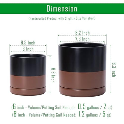 D'vine Dev 2-Pack Ceramic Pots with Saucers, 6/8 in, Black/Tan, 94-G-M-7 | Glazed Ceramic, Drainage Hole, Perfect-Fit Saucer, Sleek Cylinder Shape, High Temperature Fired, Elegant Home Accent - color: Black/Speckled Tan, size: Medium