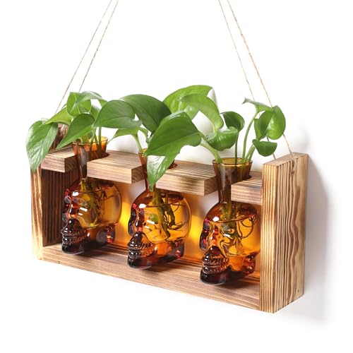 Plant Terrarium Propagation Stations Skull Planter Vase Skulls Decor | Hydroponics Halloween With Wooden Stand Gife for Father - color: Amber