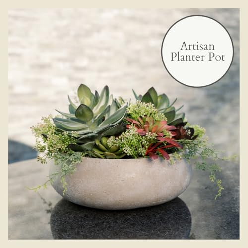 Round Faux Succulent Arrangement, 14" Premium Artificial Indoor Plant Enhances Interior Design, Display on Any Surface in Your Home Adding an Inviting Touch of Nature, Natural Planter Pot Included - size: 14" Round Natural