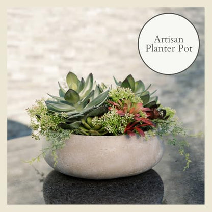 Round Faux Succulent Arrangement, 14" Premium Artificial Indoor Plant Enhances Interior Design, Display on Any Surface in Your Home Adding an Inviting Touch of Nature, Natural Planter Pot Included - size: 14" Round Natural