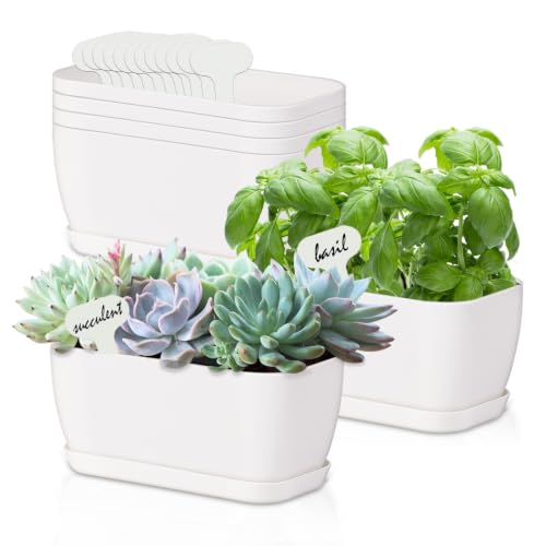 6 Set Window Herb Planter Box Rectangular, White Plastic Planters with Multiple Drainage Holes and Trays,Indoor Succulent Cactus Mint Flower Pot for Windowsill, Garden Balcony - color: Off White