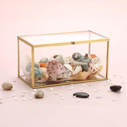Hipiwe Gold Glass Decorative Boxes Rectangular Keepsake Shadow Box with Lid | Mini Garden Jewelry Display Case Vanity Lidded Boxes for Wedding Cards, Trinkets, Photos & Perfume - 8.3"x4.3"x4.3"