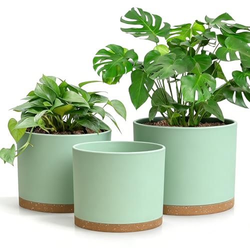 Large Plant Pots Set of 3 – 8", 9", 10" Indoor Flower Pots with Drainage Holes and Saucers, Big Planters for Monstera, Fiddle Leaf Fig, Snake Plant – 5 Colors - color: Green With Brown Base