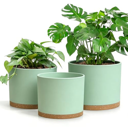 Large Plant Pots Set of 3 – 8", 9", 10" Indoor Flower Pots with Drainage Holes and Saucers, Big Planters for Monstera, Fiddle Leaf Fig, Snake Plant – 5 Colors - color: Green With Brown Base