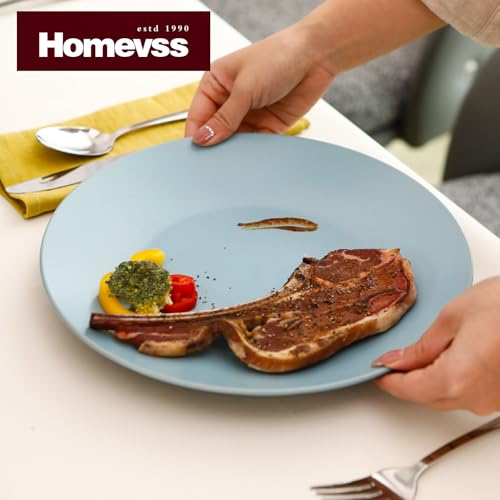 HomeVss Stoneware Two-Tone Colors Life 12pc Dinner Set, Outside Shiny Black + Inside Matte Glaze Turquoise - color: Turquise, size: 12pc Set