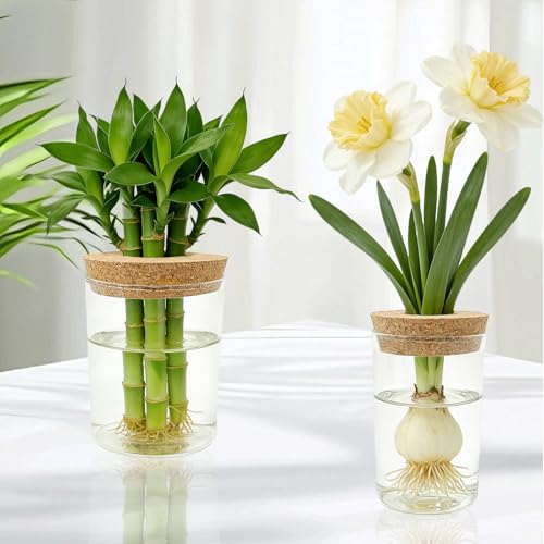 4 Pack Glass Plant Propagation Station,Desktop Vases for Home Office Decor | for Herb & Plant Cuttings, Fits Living Room Bedroom Office, Ideal Plant Lover Gift, Decorative Glass Planter Jars