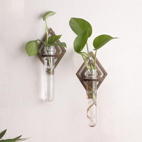 Artilady Plant Propagation Station Wall Hanging, Planter Terrariums Tube | Boho Wood Air Plant Holder for Indoor Plants, Rhombus Window Propagation Vases for Living Room Bedroom Geometric Wall Decor - color: Diamond Shaped Wood