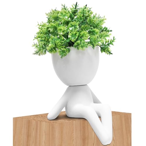 Zerzsy Fake Plant Room Decor - Funny Desk Decorations for Women - Cute Decoration for Work Office Plants for Desk Succulent for Women Office - Set of 1 - color: White-b