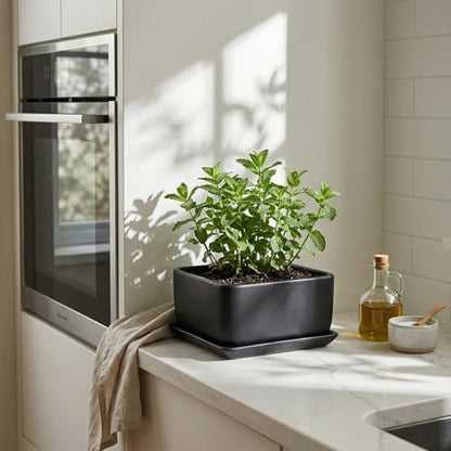 MyGift Black Ceramic Square Indoor Planter with Drainage Hole & Tray | Modern square ceramic planter adds sleek style to small plants and succulents, with a drainage hole and removable drip tray - color: Black